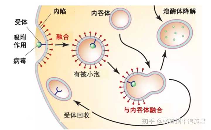 PG电子游戏