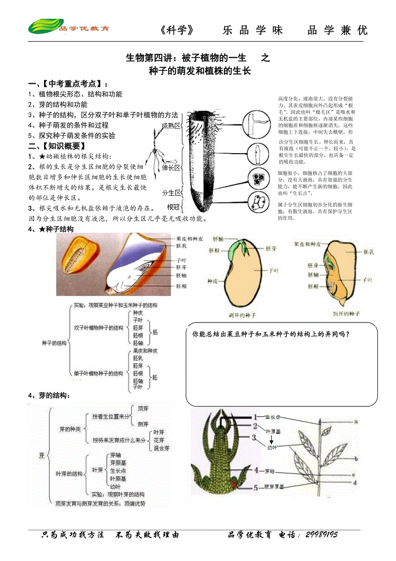 PG电子